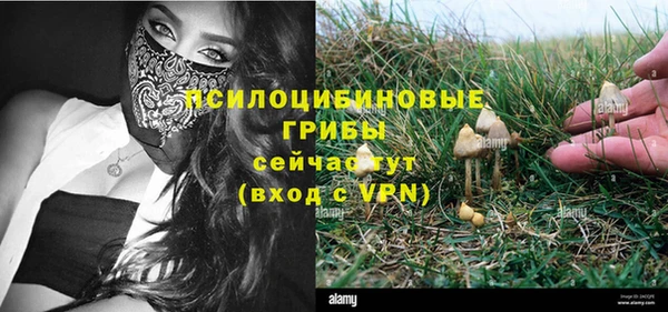 стафф Нея
